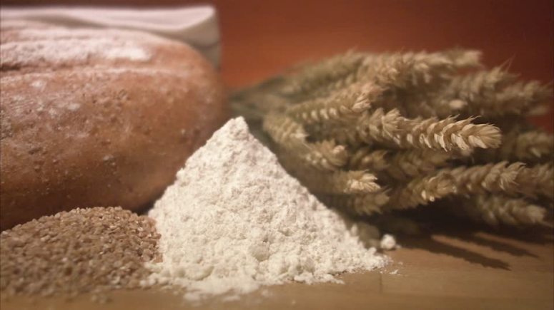 Aleuromanzia Tarocchi Mantegna Farina